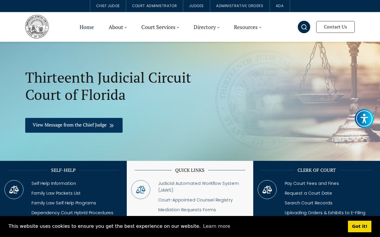 Hillsborough County criminal court case divisions in the Thirteenth Judicial Circuit